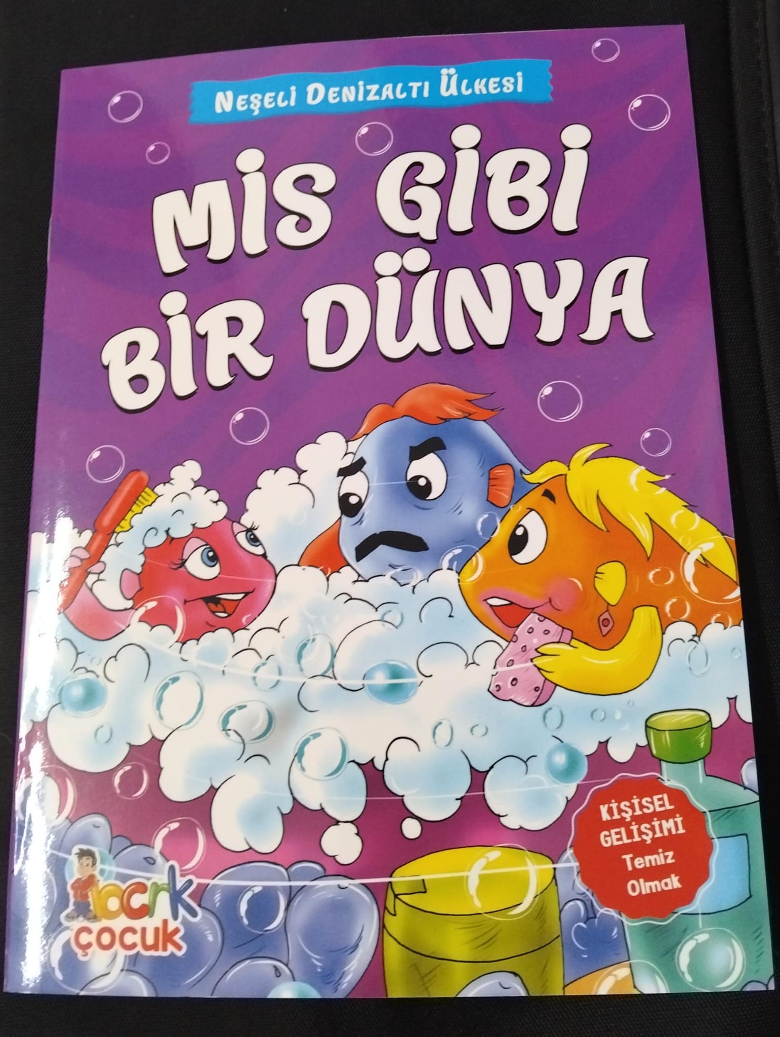 Mis Gibi Bir Dünya